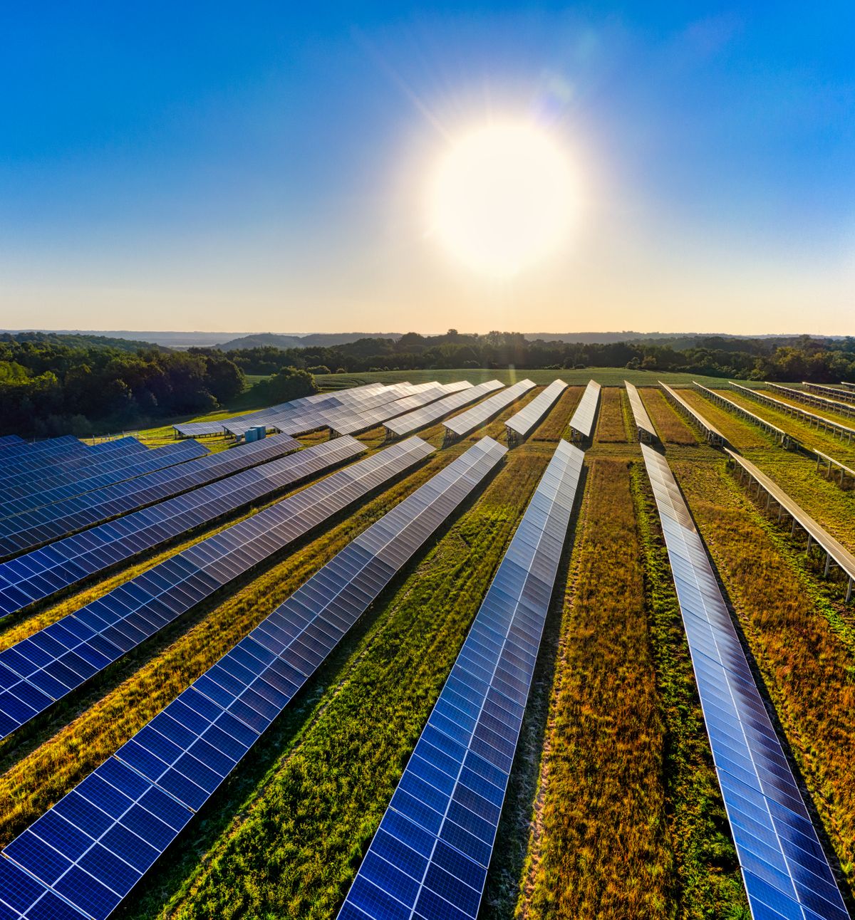 Agricultural solar application